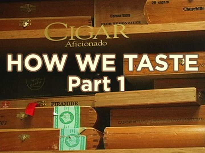 How We Taste, Part 1