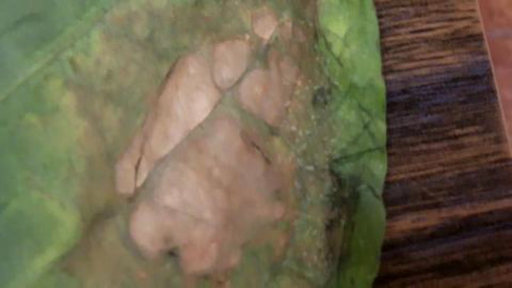 Cigar 101: Blue Mold Explained