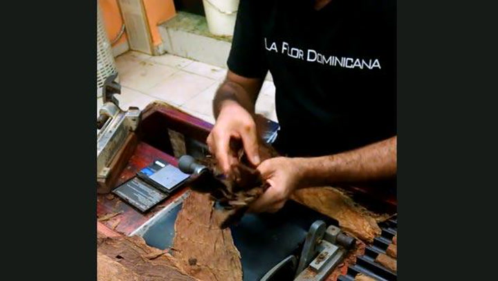 La Flor Dominicana Digger
