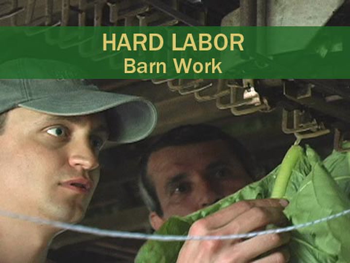 Hard Labor - Barn Work