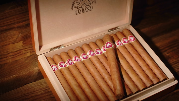 No. 5 Cigar of 2018