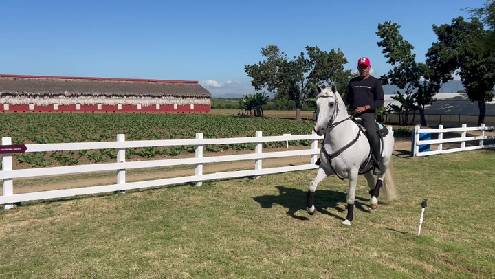 Reporting From La Flor Dominicana's La Canela Farm