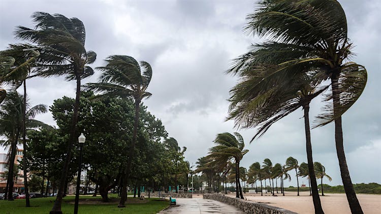 Hurricane Irma Moves Through Cigar Country