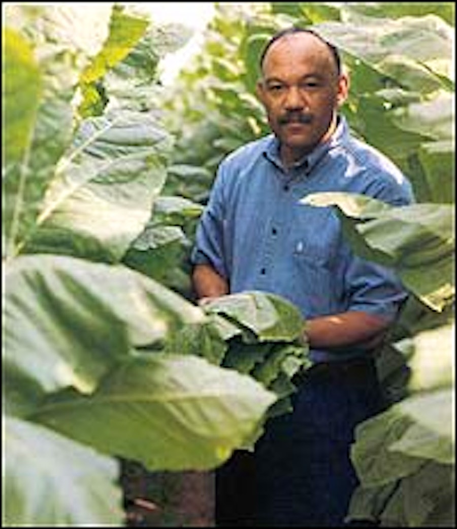 Macanudo's Main Man