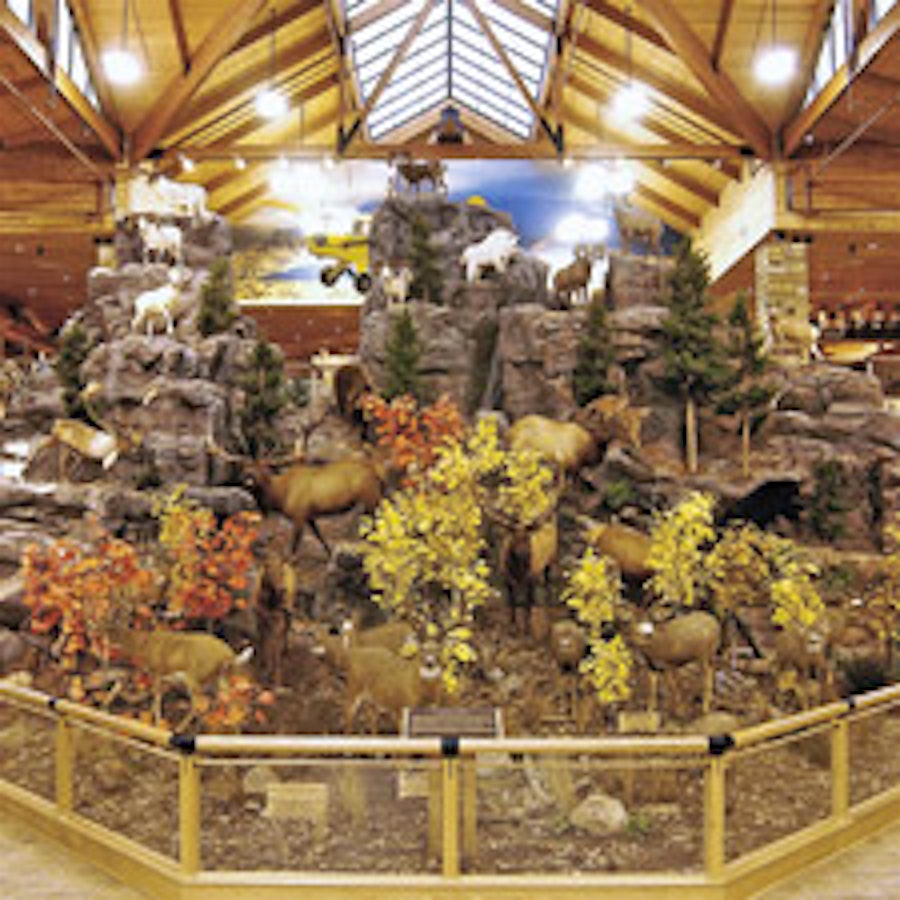 Cabela’s Super Stores