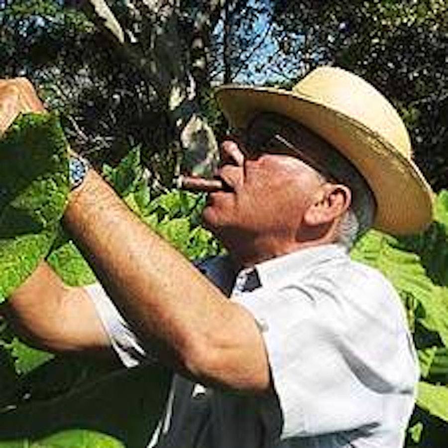Pepin Garcia Adding Extra Fat Cigars