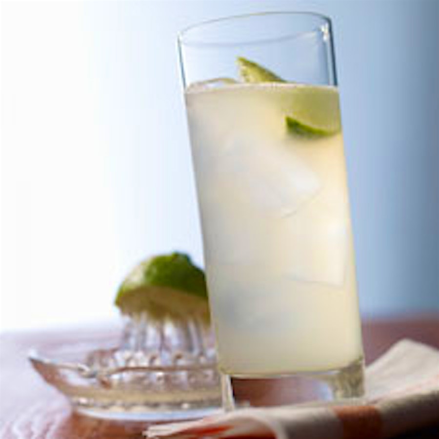 Quench Your Summer Thirst with a Gin Fizz