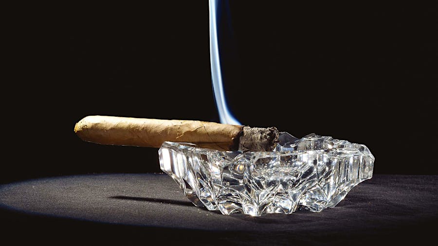 Plugged Cigars