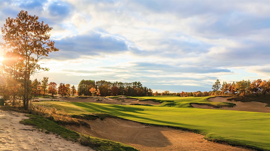The New Courses Of 2017