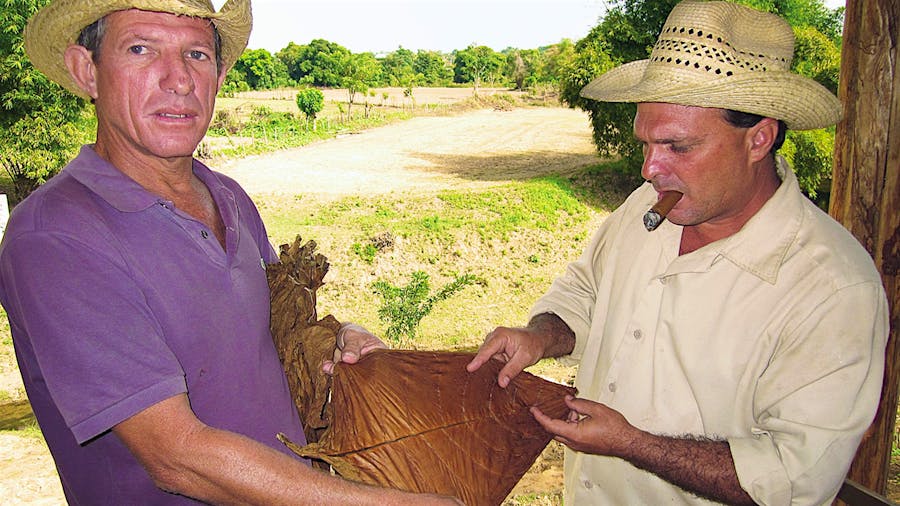 Cuba's Rising Star