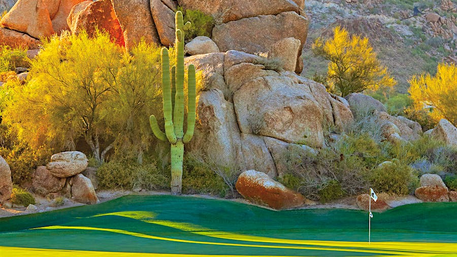 Desert Blooms