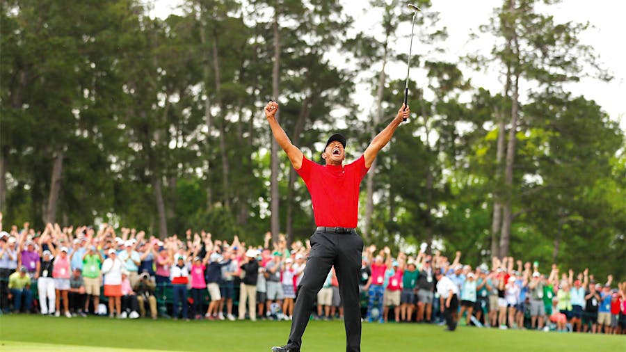 Tiger Is Back
