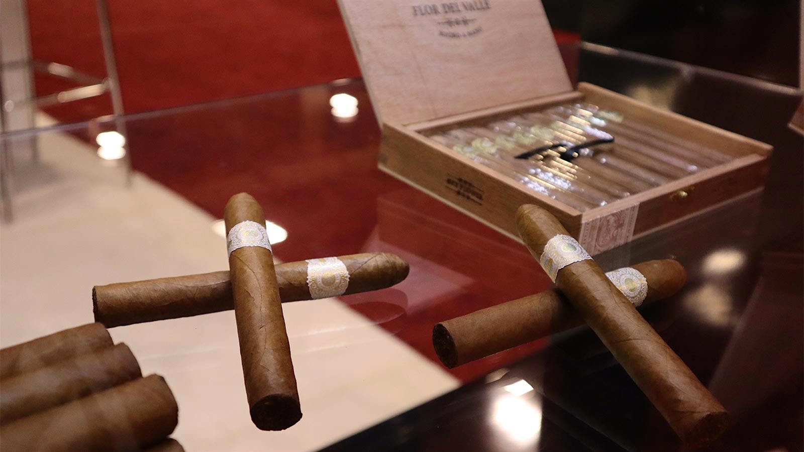 Warped Flor del Valle Seleccion de Valle