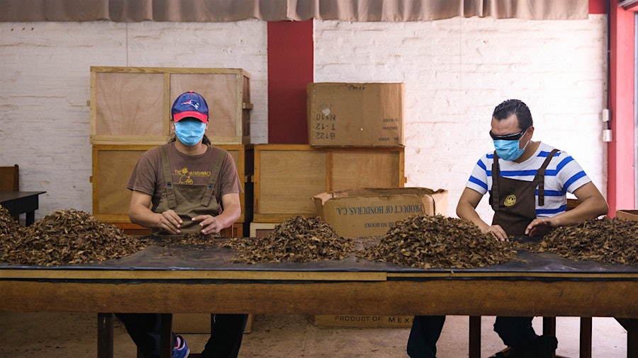 Cigar Factories Reopen Amid Coronavirus Outbreak