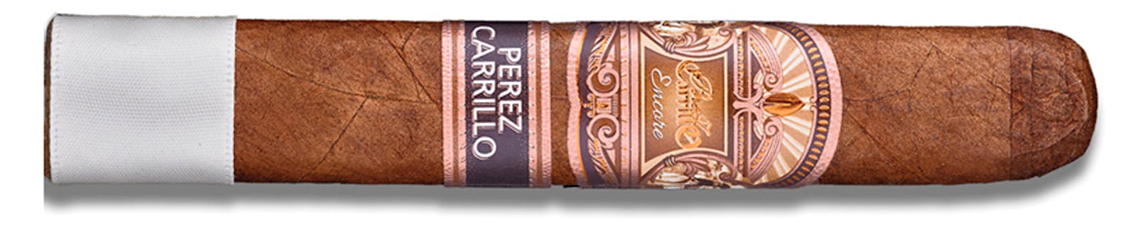Aganorsa Toro