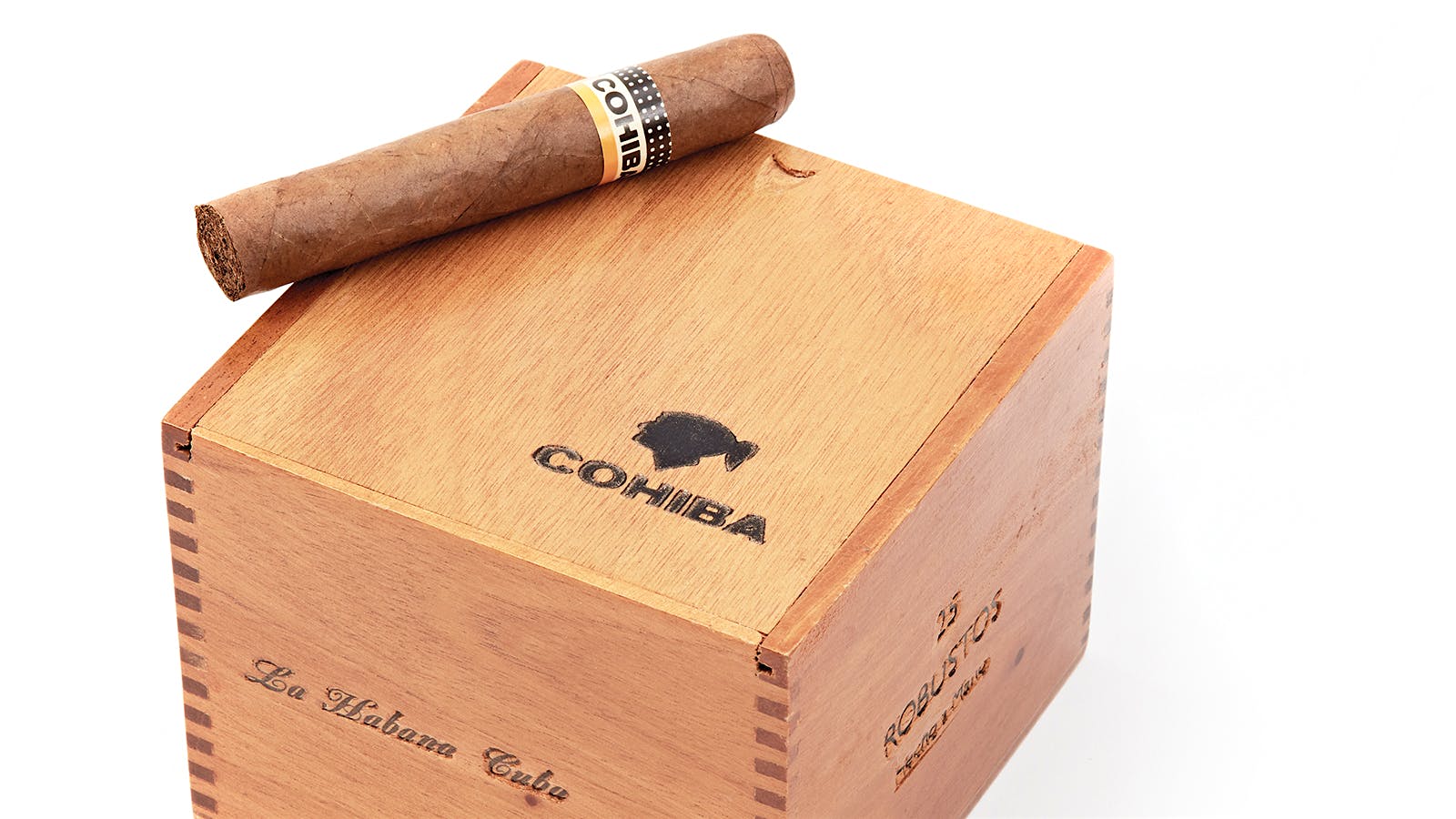 Cohiba Robusto