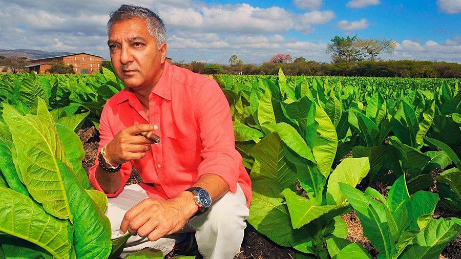 Rocky Patel