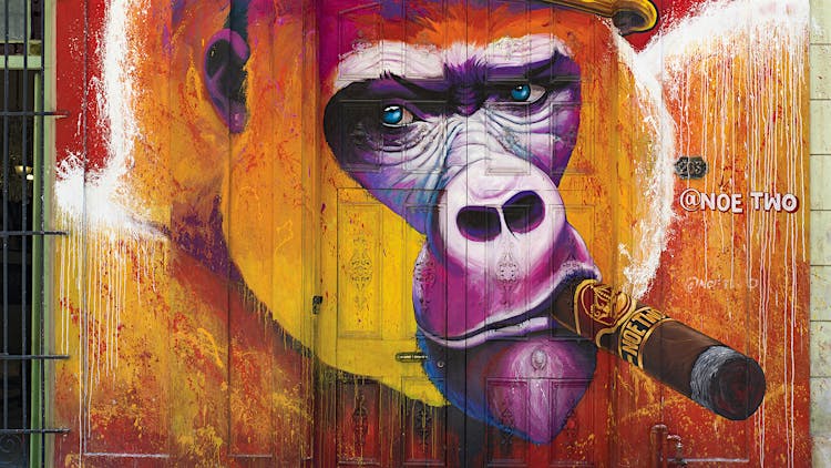Havana's Street Art