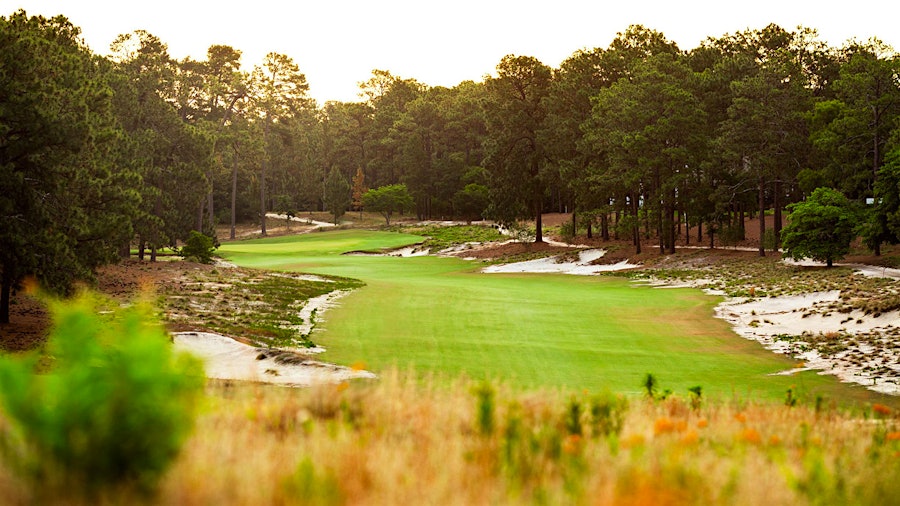 A Golf Trip To Pinehurst