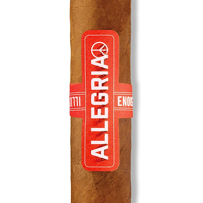 Allegria Robusto