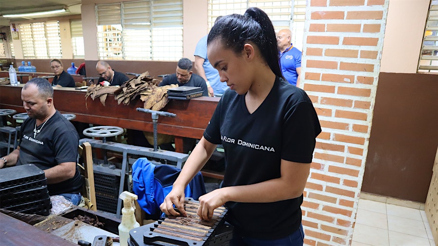 La flor Dominicana 