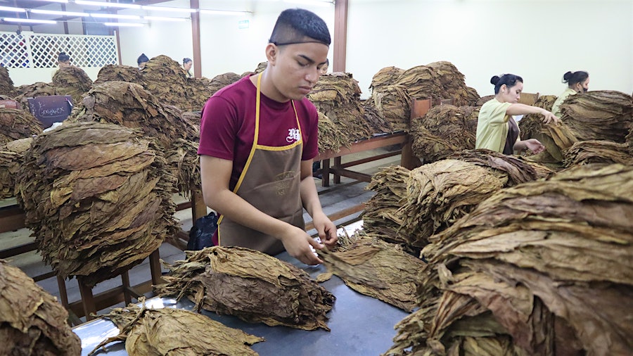 My Father Cigars