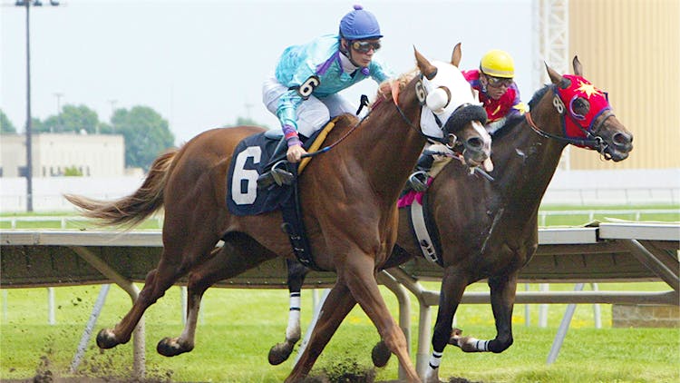 Own A Racehorse