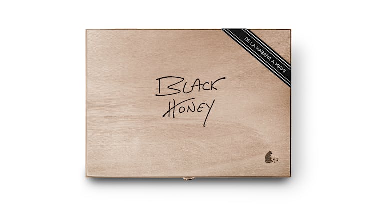 Miami-Made Warped Black Honey Returns