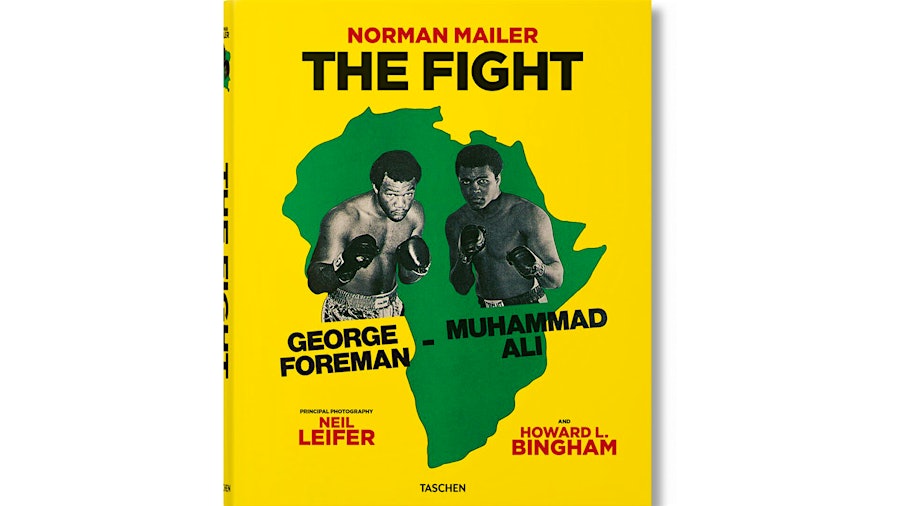 The Fight