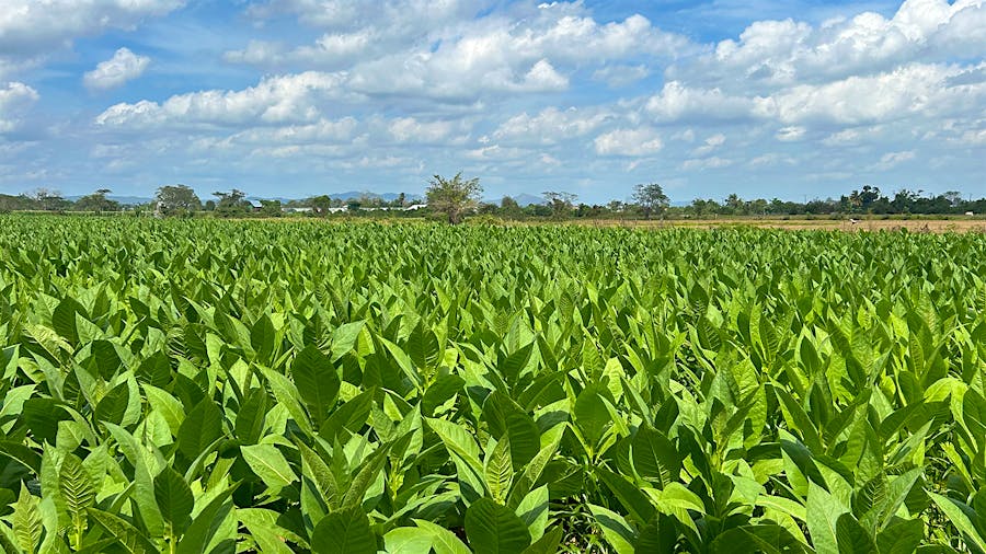 A Busy Week In Cuba