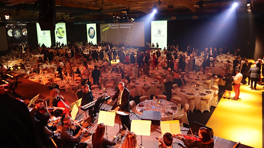 Habanos Festival