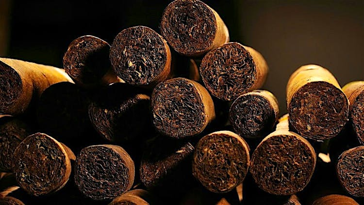 2025 Cigar Insider Retailer Survey: The Best-Selling Cigar Sizes In America