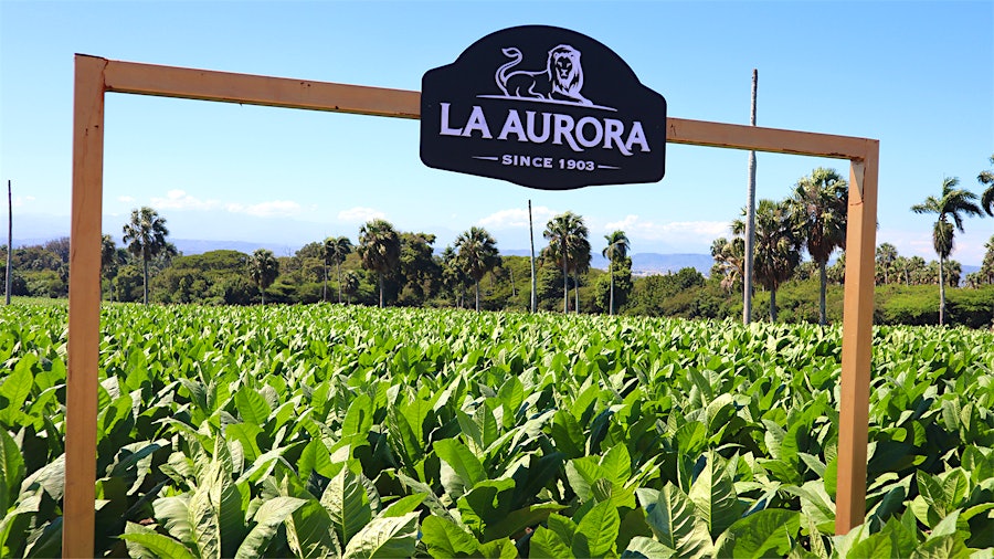 Visiting La Aurora, The Oldest Cigarmaker In The Dominican Republic