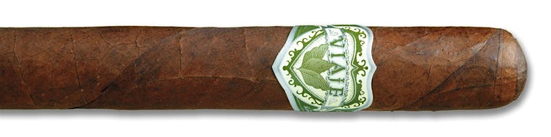 Viaje Platino  Jefe