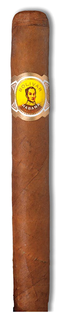 BOLIVAR INMENSAS