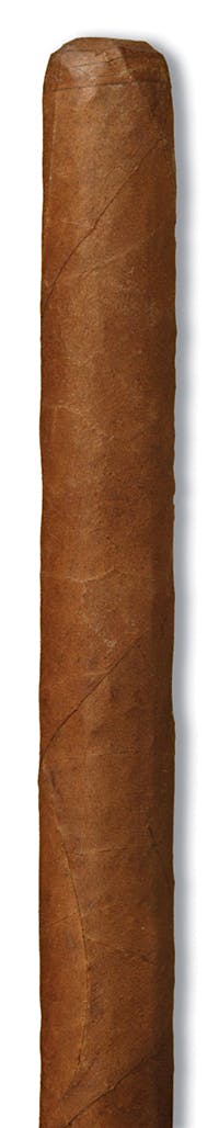 FONSECA NO. 1