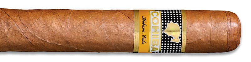 Cohiba Robusto