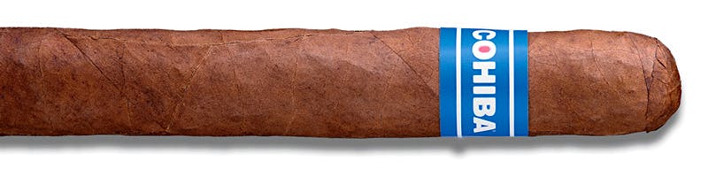 Cohiba Blue Robusto