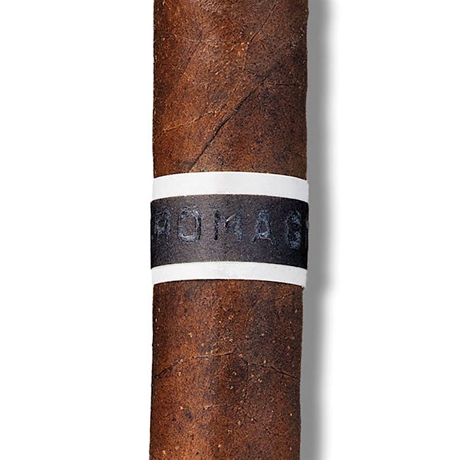 CroMagnon Anthropology