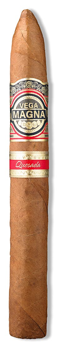 VEGA MAGNA BELICOSO