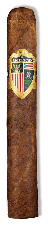 THE AMERICAN TORO