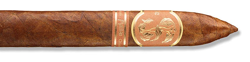 Matilde Quadrata Torpedo