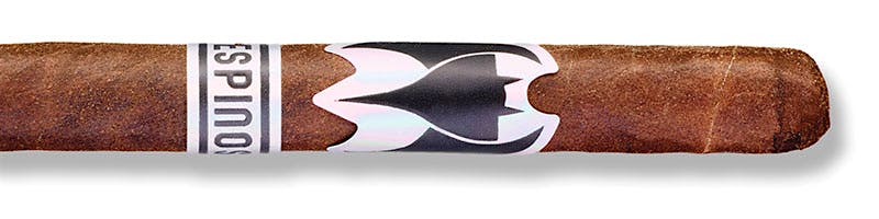 Murciélago Lancero