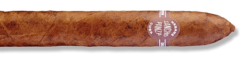 Sancho Panza Belicoso