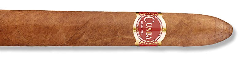 Cuaba Salomon