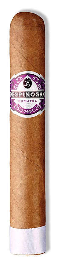 Espinosa Sumatra Gordo