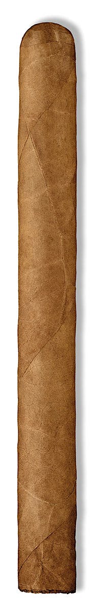 Cuesta-Rey Centenario Aristocrat