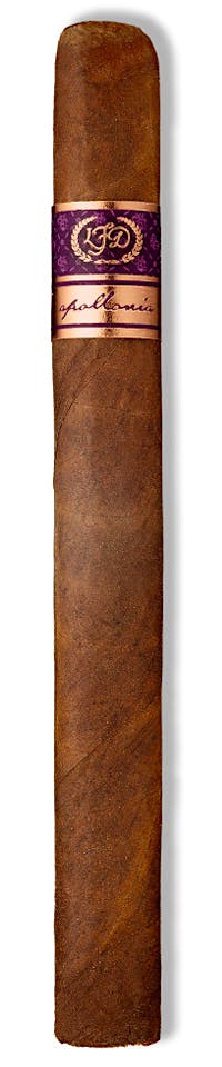La Flor Dominicana Appollonia TAA 2025